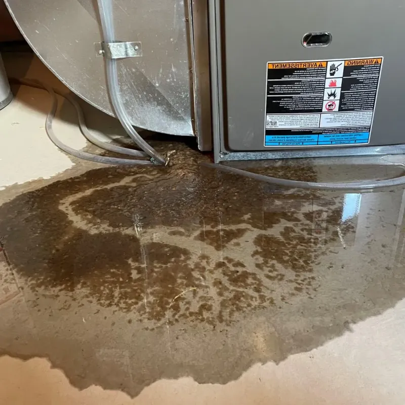 Pipe Burst and Leak Restoration in Truth or Consequences, NM