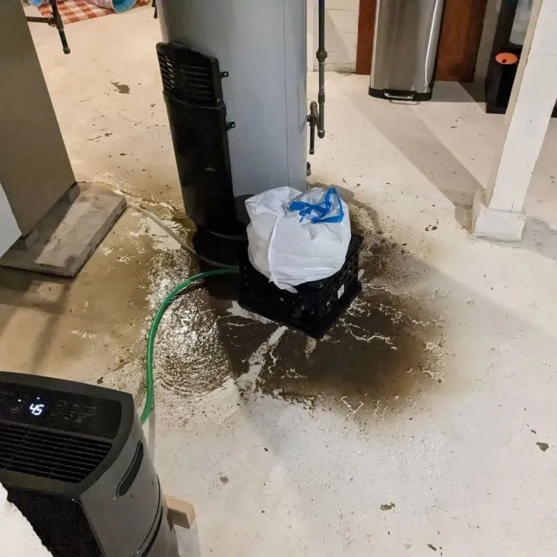 Sewage Backup Cleanup Service in Truth or Consequences, NM
